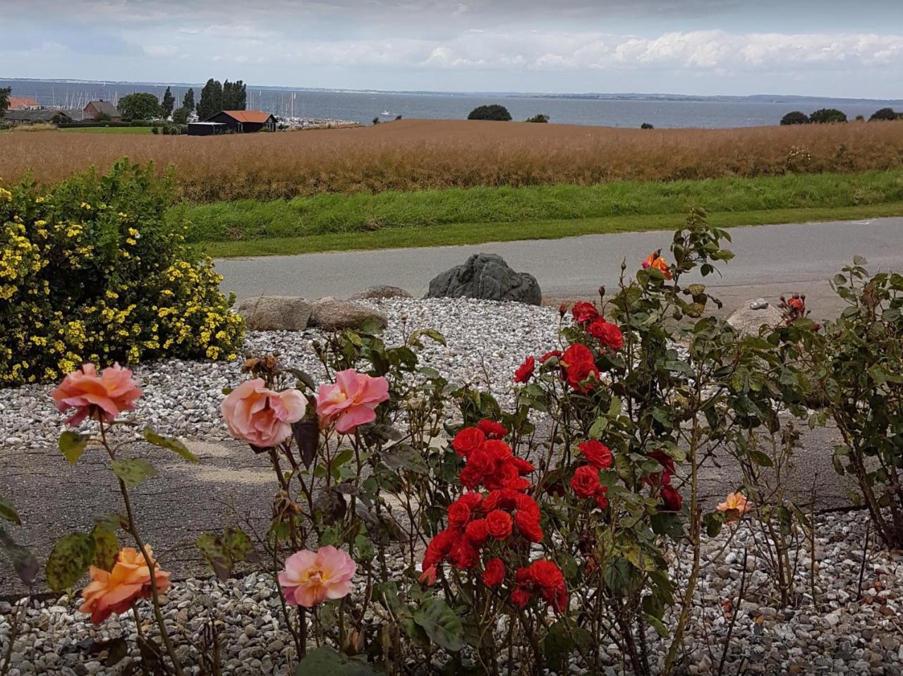 Molevitten Apartments Søby Kültér fotó